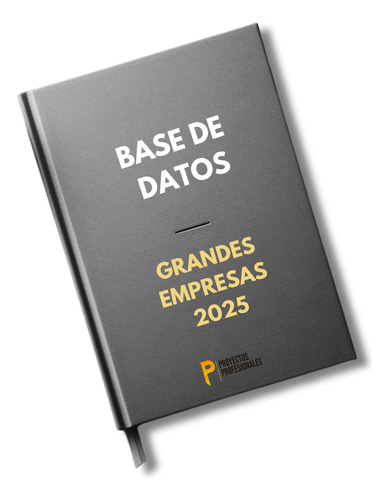 Base De Datos Grandes Empresas 2025