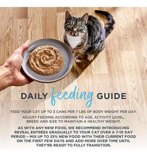 Reveal Paté Pechuga De Pollo Para Gatos 24 Latas De 70 G
