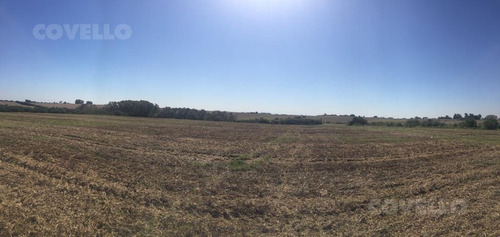 Imagen 3 de 11 de Campo En Martin Chico, Buena Tierra Productiva, Zona En Desarrollo
