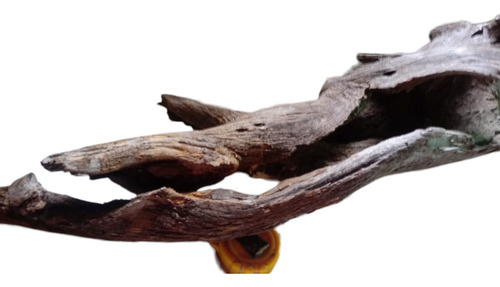 Tronco 25/25/60 Cm Raiz Natural Madeira Enfeite Para Aquario