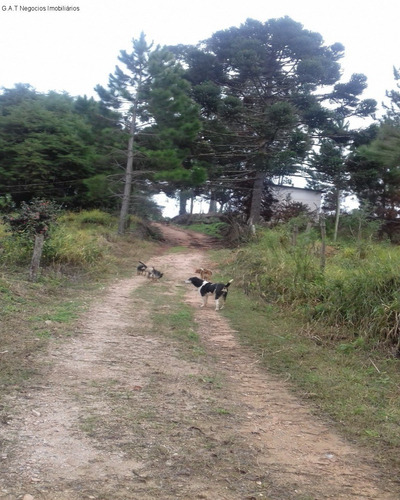 Imagem 18 de 18 de Sitio À Venda No Monjolada - Guiapiara/sp - St00246 - 68125721