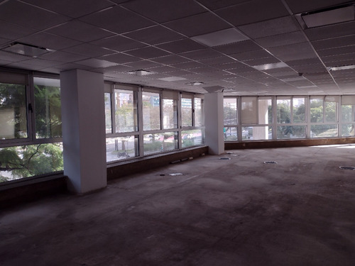 Imagen 6 de 26 de Oficina En Alquiler | Pellegrini 887 | 1190 M²