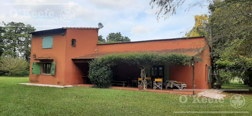 Imagen 8 de 28 de Quinta En Venta En Abasto, Con Casa De Campo Sobre Lote De 26.103 M2