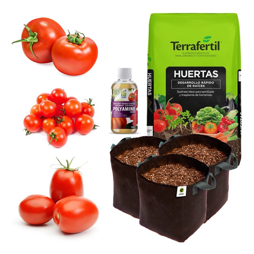 Combo Siembra Huerta Completo Tomate Redondo Perita Cherry