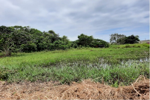 Imagem 8 de 12 de Terreno De 250 Metros Á Duas Quadras Do Mar Em Itanhaém No Litoral Sul De Sp
