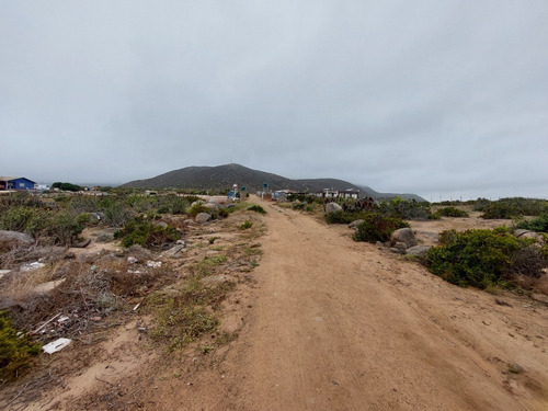 Imagen 5 de 11 de Terreno El Arrayan La Serena, Km 492