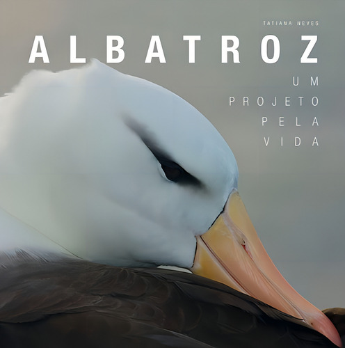 Albatroz, de Neves, Tatiana. Editorial DBA Dorea Books And Art Artes Graficas Eireli, capa dura em português, 2013