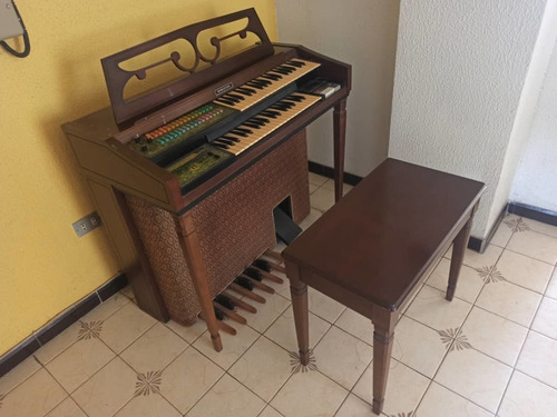 Imagen 1 de 5 de Órgano