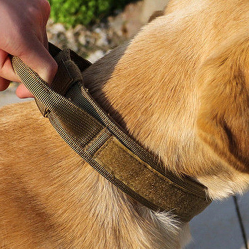 (l-5) Collar Táctico For Perros Collares Militares De