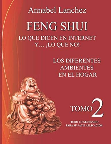 Libro: Feng Shui. Lo Que Dicen En Internet Y... ¡lo Que No!: