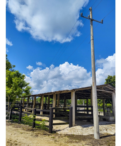 Rancho Ganadero En Venta, Propiedad Privada, 453 Has, Con Cenotes