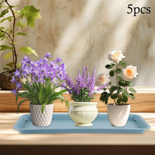 Saucers De Planta De 5 Piezas Plantillas Platillos De Azul