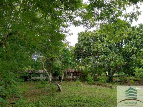 Imagem 6 de 16 de Granja A Venda Massaranduba