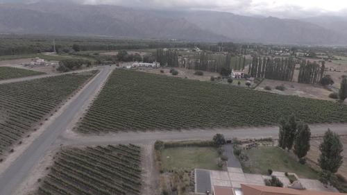 Terreno - Cafayate