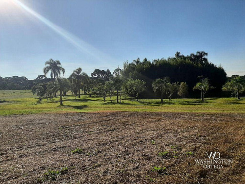 Imagem 26 de 30 de Chácara À Venda, 230302 M² Por R$ 10.900.000,00 - Cachoeira - São José Dos Pinhais/pr - Ch0084