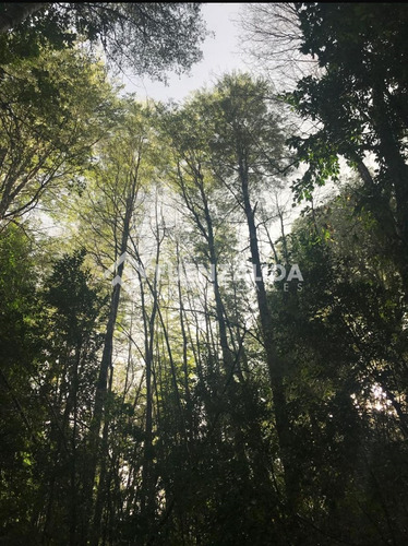 Parcela En Venta En Panguipulli