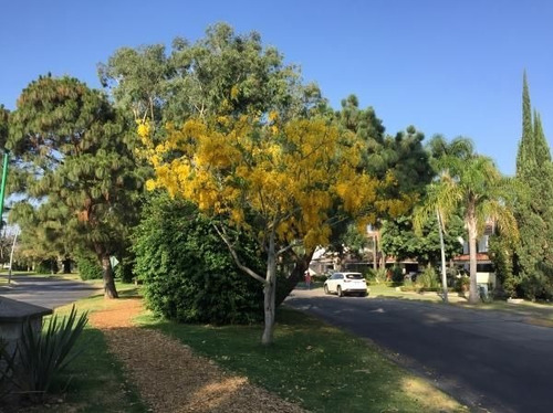 Imagen 3 de 16 de Terreno En Venta Coto Siena En Valle Real Zapopan En Paseo San Arturo
