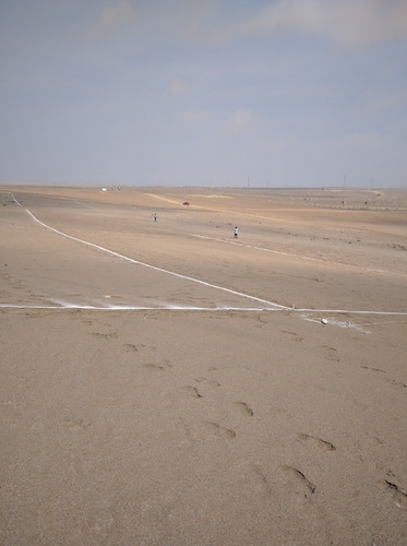 Imagen 13 de 16 de Lotes Por Manzana De 920 M2 C/u Casas Campo Agropec. Cañete