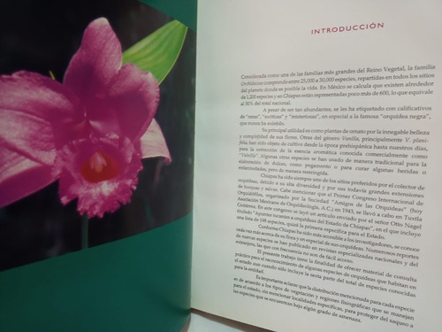 Orquídeas De Chiapas (03a5) (Usado)