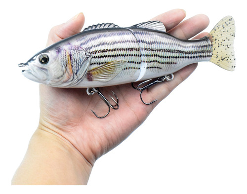 Cebo De Pesca For Truchas De 6.7 Pulgadas: 2 Segmentos Que