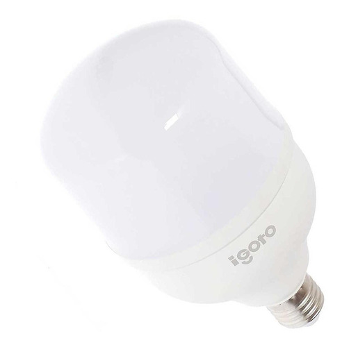 iGoto Foco Led F10530 T100 30W 2700 lumenes 6500K 