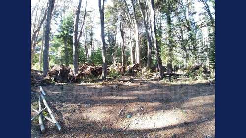Imagen 26 de 26 de Venta Lote/terreno De 4955.50 M2 Cauquen 100 Altos De Manzano Villa La Angostura