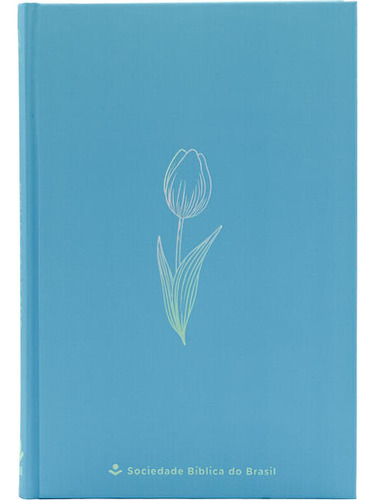Bíblia Naa, Light Blue, Capa Dura
