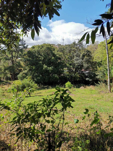 Imagen 1 de 14 de Bella Propiedad, Paz Y Naturaleza, Tranquilidad, Tierras Mor