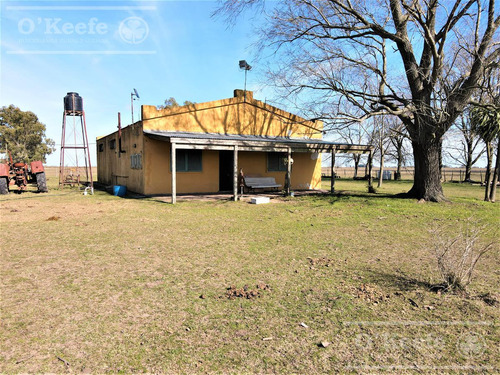 Imagen 14 de 28 de Campo En Venta 133 Has En Magdalena - Mixto.