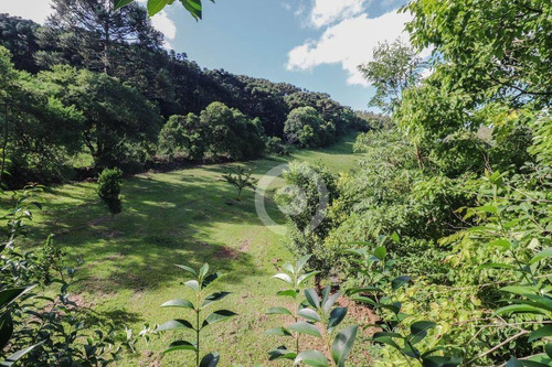 Chácara À Venda, 397000 M² - Linha Cristo Rei - Morro Reuter/rs - Ch0018