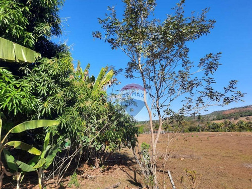 Imagem 5 de 18 de Fazenda Á Venda - Alto Boa Vista - Fa0005