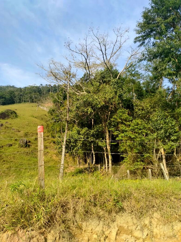 Imagem 3 de 10 de R$ 135.000 - Chacrinha Com Área Total De 20.000 M² No Timbé