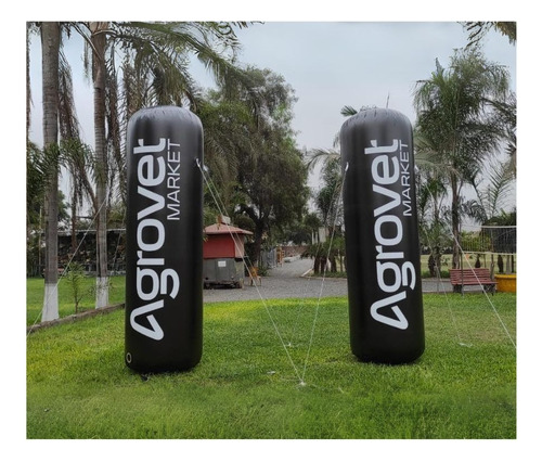 Globos E Inflables Publicitarios Totem Inflable 3 Metros