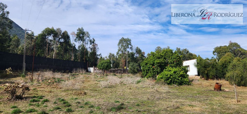 Casa En Arriendo, Mantagua, Quintero