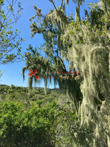 Imagen 27 de 30 de Venta - Chacra De 45 Has Muy Pintorescas En Villa Serrana