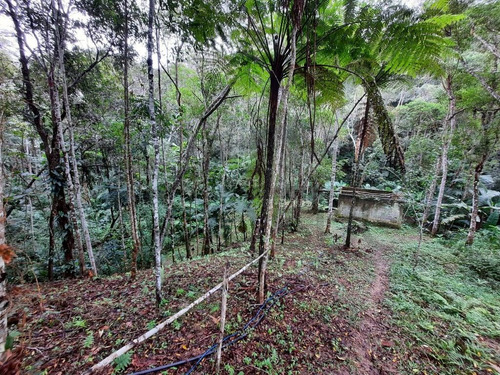Imagem 30 de 30 de Chácara À Venda Em Juquitiba - 414 - 34854187