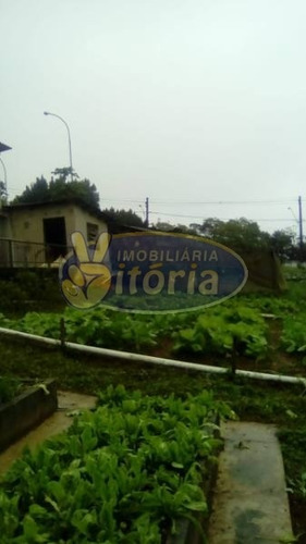 Imagem 2 de 21 de Chácara Para Venda No Bairro Dos Finco/ Vila Tupã, 3 Dorm, 6 Vagas, 100 M, 3982 M - 9851