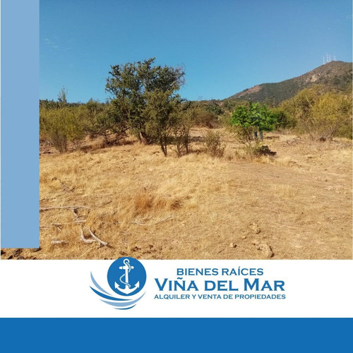 Sitio En Venta En Olmué
