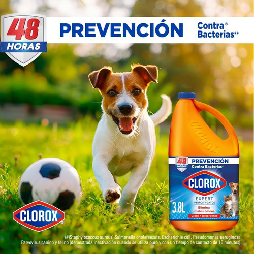 Clorox Blanqueador Detergente Desinfectante Seguro Para Anim