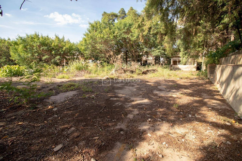 Imagem 8 de 23 de Terreno À Venda Em Jardim Do Vale - Te007989