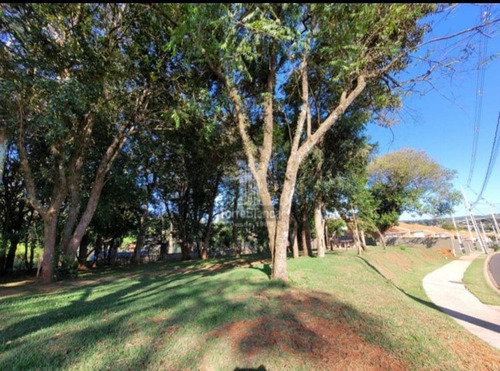 Imagem 2 de 17 de Casa Com 2 Dormitórios À Venda - Ca1303