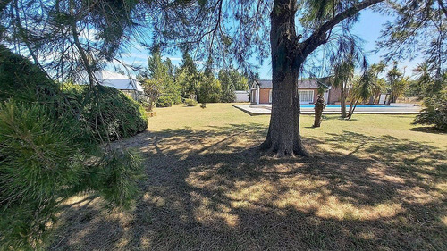Imagen 5 de 27 de 303 E/50 Y 52 - El Rodeo Quinta C/pileta - Baum Propiedades