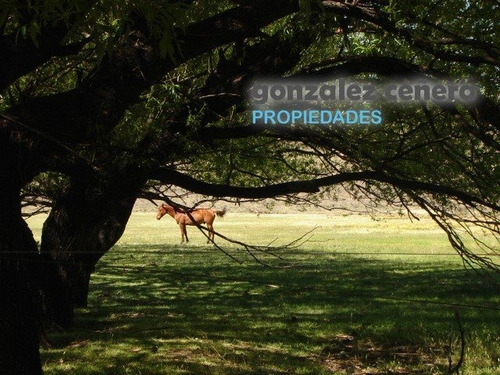 Venta Campo Ingeniero Jacobacci