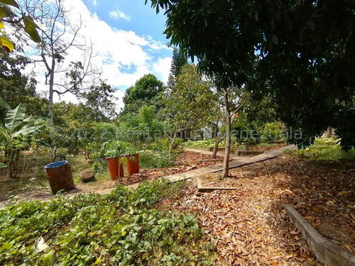 Imagen 15 de 30 de Sp Casa Granja Con Piscina A Minutos Del Este De La Ciudad En Venta En El Cercado Barquisimeto Lara