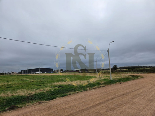 Venta Terreno Ruta 5 Montevideo Prox. Perimetral, Logistica (ref: Xcm-14734)
