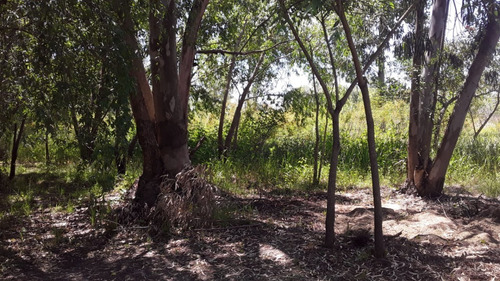 Imagen 6 de 7 de Lote De 22x400 En Villa Paranacito Metros Del Pueblo