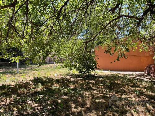 Imagen 7 de 11 de Casa Quinta 4 Amb 980m2 - Moreno Norte