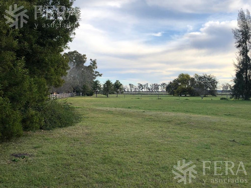 Imagen 19 de 21 de Venta De Casa De 4 Ambientes Con Cochera, Galeria, Quincho Y Piscina En Campos De Roca 1 (28792)