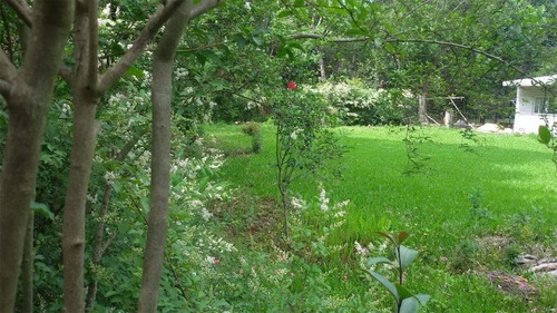 Imagen 2 de 4 de Terrenos/fracciones/loteos Terrenos - Venta