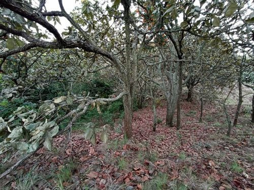 Imagen 5 de 7 de Terreno En Venta En El Palomar